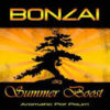 BONZAI Incenso alle erbe Summer Boost 3g