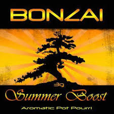 BONZAI Encens aux herbes Summer Boost 3g